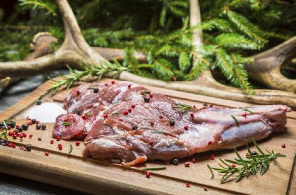 Aktuali informacija medžiotojams: išleistos edukacinės gairės ketinantiems mažais kiekiais tiekti laukinių medžiojamų gyvūnų mėsą