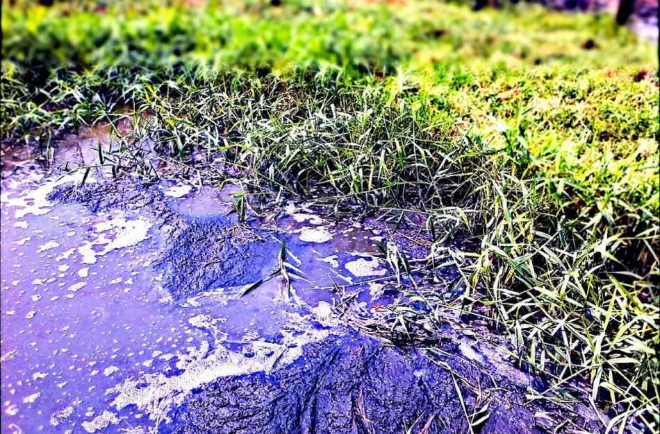 Pritarta siūlymui didinti baudas įmonėms už teršalų išleidimą į aplinką