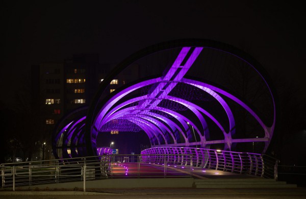 Jonava nušvito purpurine spalva: minima neišnešiotų naujagimių diena