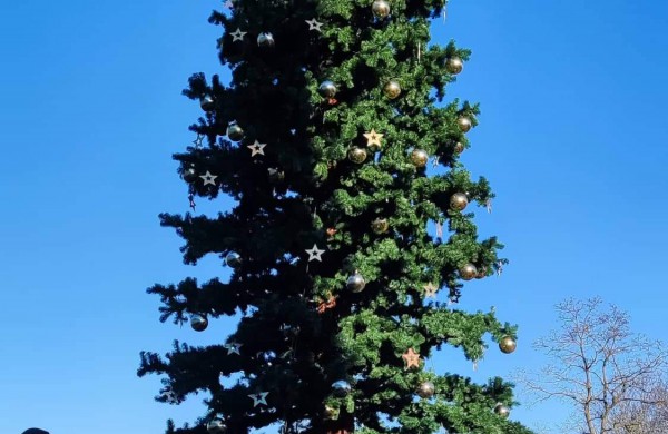 Eglutės įžiebimas - jau savaitgalį: šventėje lauks ne tik Kalėdų Senelis, bet ir daugybė pramogų