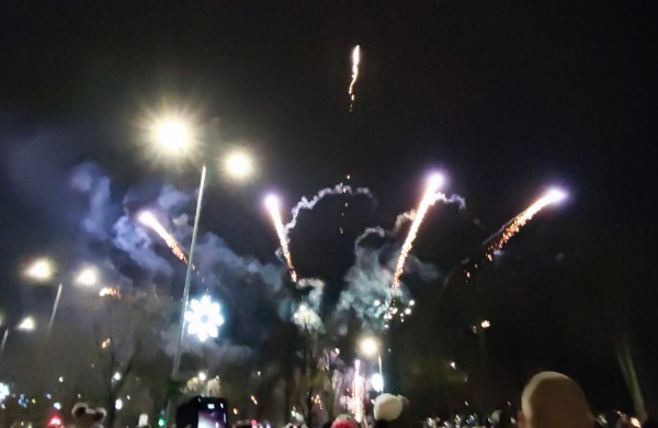 Įžiebta Jonavos miesto puošmena: sužibo Kalėdų eglė ir nutvisko Kalėdinių eglučių miestelis