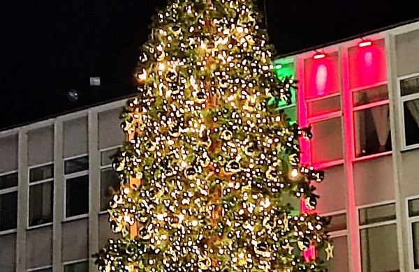 Įžiebta Jonavos miesto puošmena: sužibo Kalėdų eglė ir nutvisko Kalėdinių eglučių miestelis