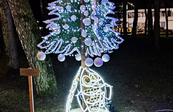 Įžiebta Jonavos miesto puošmena: sužibo Kalėdų eglė ir nutvisko Kalėdinių eglučių miestelis