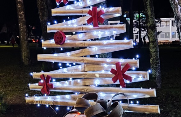 Įžiebta Jonavos miesto puošmena: sužibo Kalėdų eglė ir nutvisko Kalėdinių eglučių miestelis