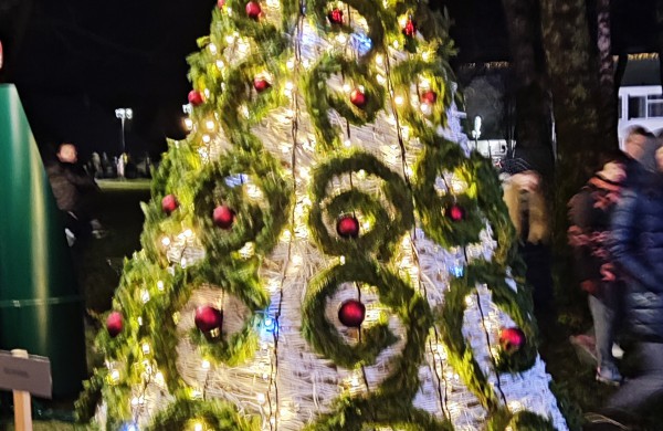 Įžiebta Jonavos miesto puošmena: sužibo Kalėdų eglė ir nutvisko Kalėdinių eglučių miestelis