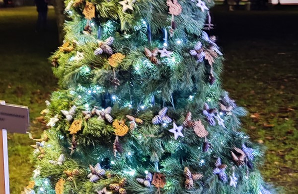 Įžiebta Jonavos miesto puošmena: sužibo Kalėdų eglė ir nutvisko Kalėdinių eglučių miestelis