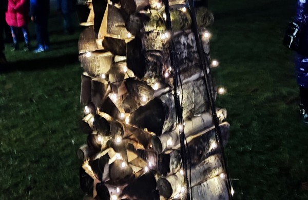 Įžiebta Jonavos miesto puošmena: sužibo Kalėdų eglė ir nutvisko Kalėdinių eglučių miestelis