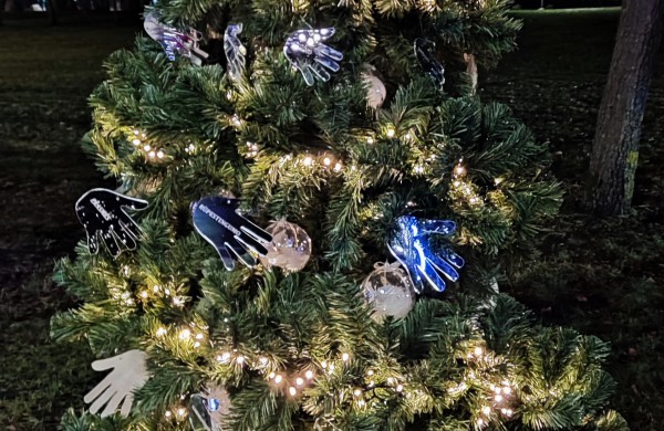 Įžiebta Jonavos miesto puošmena: sužibo Kalėdų eglė ir nutvisko Kalėdinių eglučių miestelis