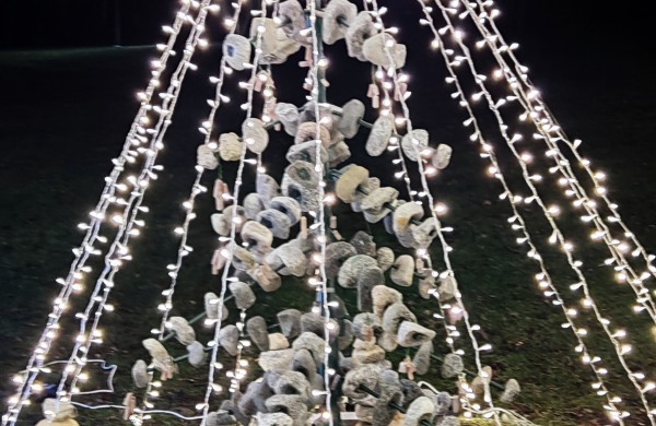 Įžiebta Jonavos miesto puošmena: sužibo Kalėdų eglė ir nutvisko Kalėdinių eglučių miestelis