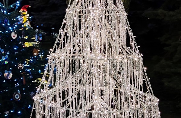 Įžiebta Jonavos miesto puošmena: sužibo Kalėdų eglė ir nutvisko Kalėdinių eglučių miestelis