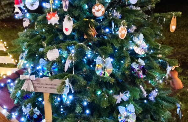 Įžiebta Jonavos miesto puošmena: sužibo Kalėdų eglė ir nutvisko Kalėdinių eglučių miestelis