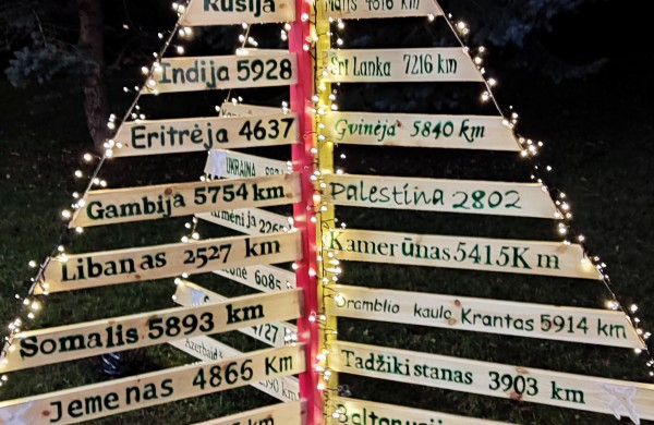 Įžiebta Jonavos miesto puošmena: sužibo Kalėdų eglė ir nutvisko Kalėdinių eglučių miestelis