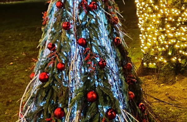 Įžiebta Jonavos miesto puošmena: sužibo Kalėdų eglė ir nutvisko Kalėdinių eglučių miestelis