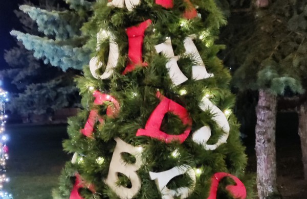 Įžiebta Jonavos miesto puošmena: sužibo Kalėdų eglė ir nutvisko Kalėdinių eglučių miestelis