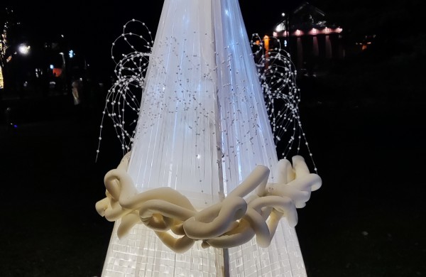 Įžiebta Jonavos miesto puošmena: sužibo Kalėdų eglė ir nutvisko Kalėdinių eglučių miestelis