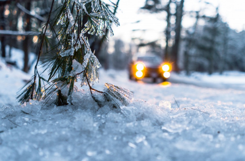 Aplinkosaugininkai primena: ir šaltuoju metų laiku automobilius statykite nežalodami aplinkos