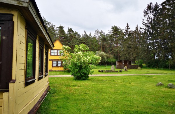 Jonavos rajone įsikūrusi sodyba iki šiol ,,pasakoja" trijų menininkų istoriją: ar tikrai viską žinote apie Samulevičius?