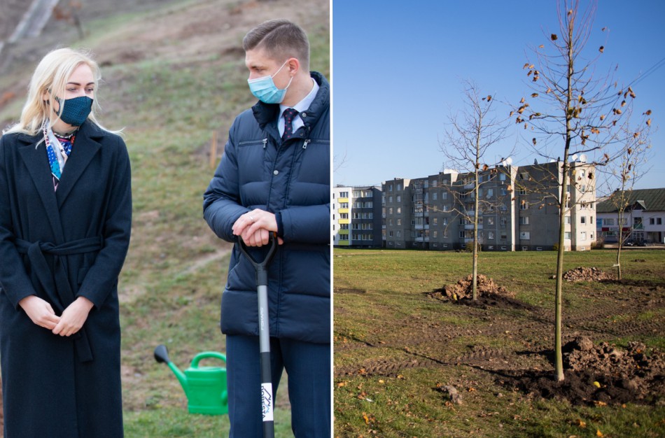 VTEK išteisino, bet skundikas nerimsta – Rimkų parko klausimas atsidūrė teisme