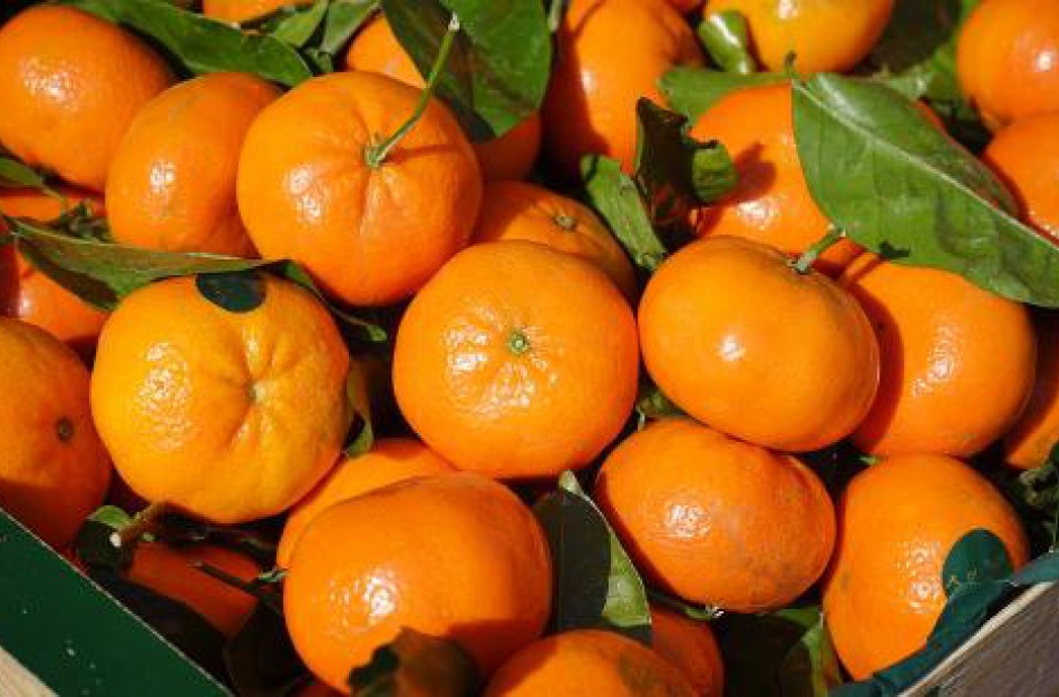 Mėgstantiems vaisius – kaip jie tikrinami ir į ką atkreipti dėmesį perkant?