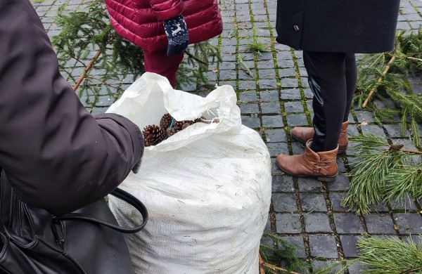 Miesto centre vyksta akcija „Parsinešk Kalėdas į savo namus“