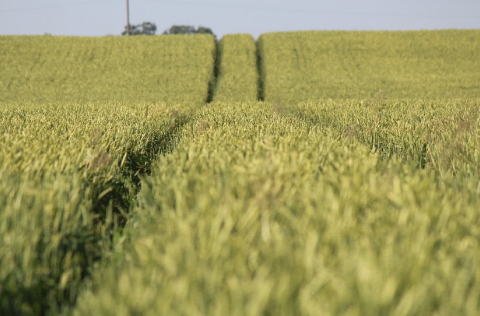 Ūkininkai ir toliau galės skolintis palankesnėmis sąlygomis