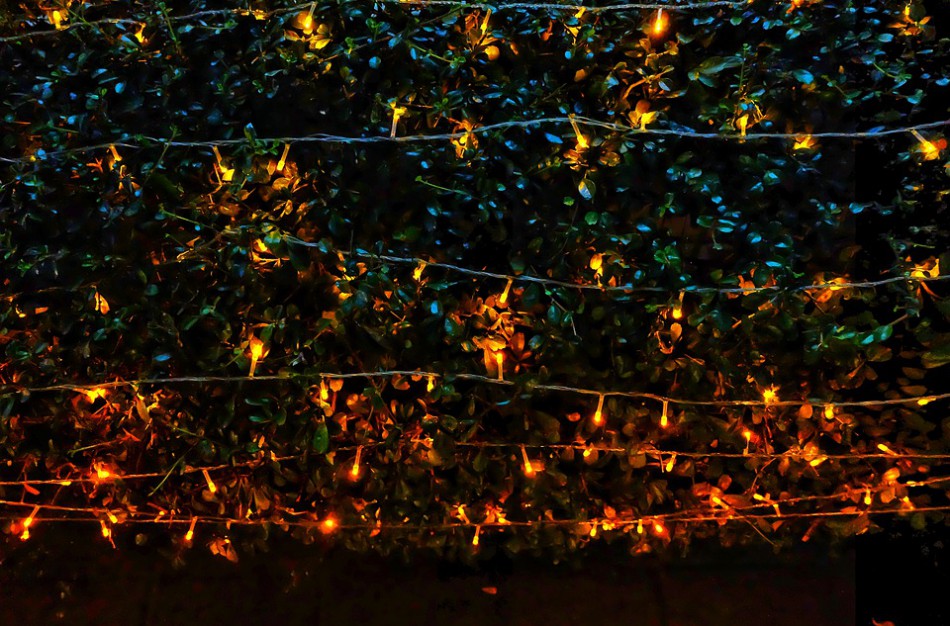 Švenčių dekoracijoms – ne vieta šiukšliadėžėje