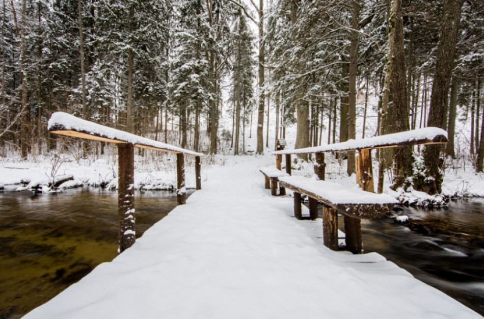 Už saugomų teritorijų lankytojų bilietus surinktos lėšos grįžta atgal į gamtą