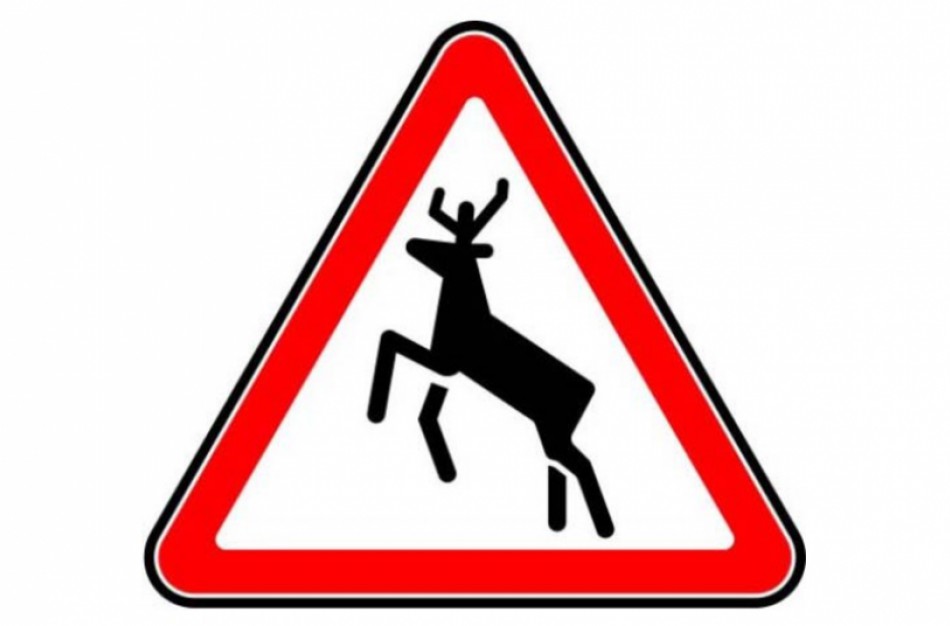 Sausio 6-osios eismo įvykiai: Jonavoje neišvengta susidūrimo su gyvūnais