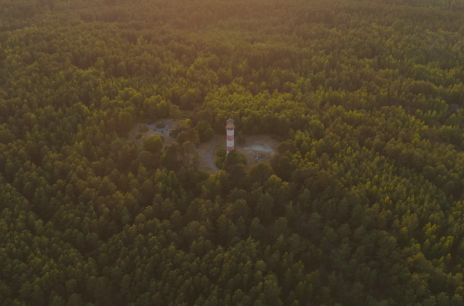 Nacionalinis susitarimas dėl miškų pereina į paskutinį etapą: greitai paaiškės ilgalaikės miškų politikos kryptis