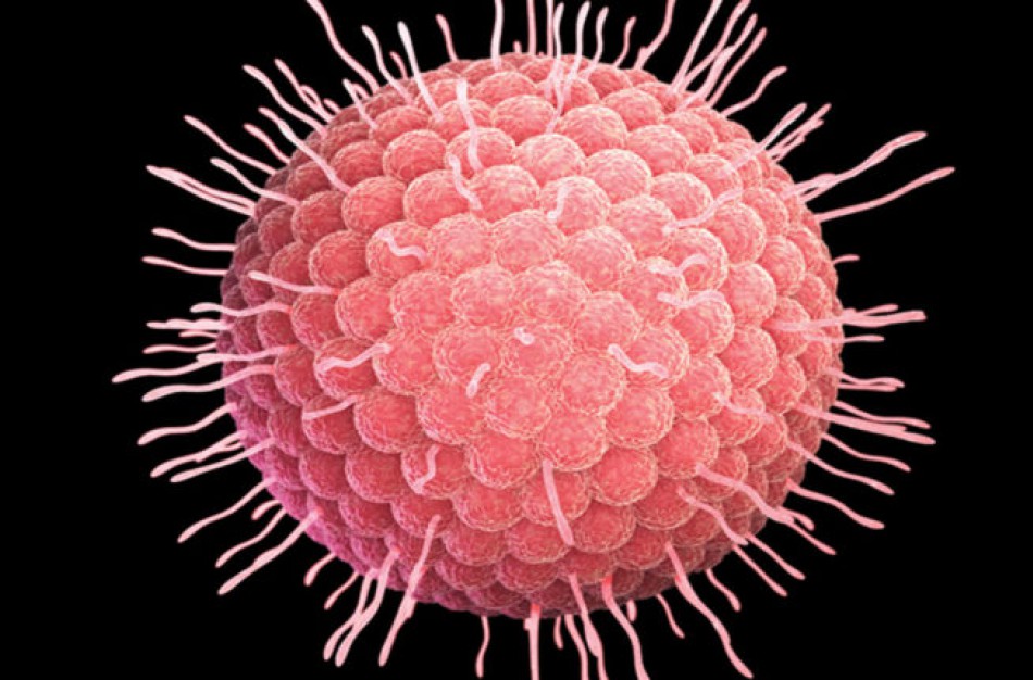 NVSC: Vėjaraupių vakcina saugo nuo dviejų ligų