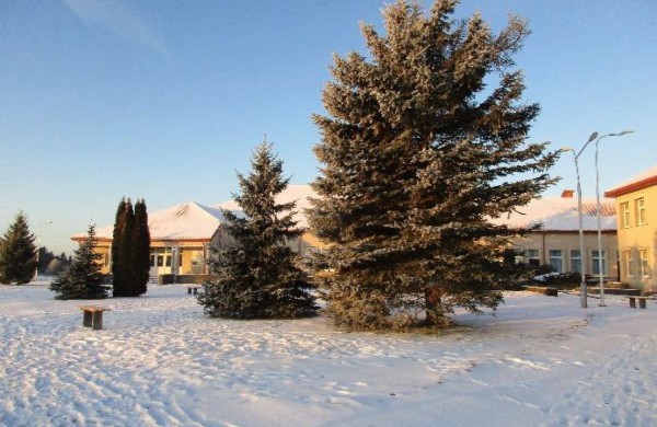 Pastatų su žemės sklypu Jaunystės g. 8, Upninkų k., pardavimo aukcionas