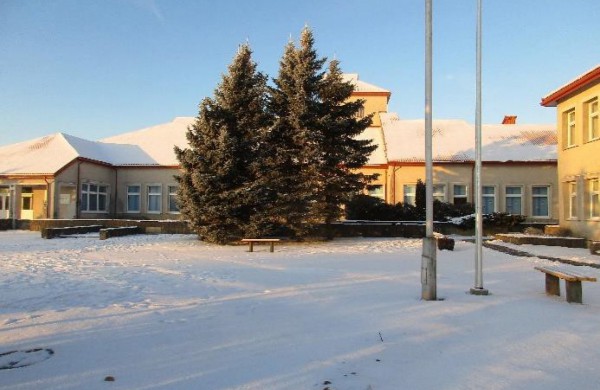 Pastatų su žemės sklypu Jaunystės g. 8, Upninkų k., pardavimo aukcionas