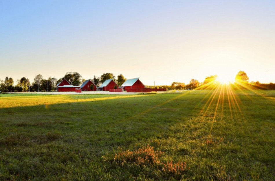 ŽŪM: Sumanaus kaimo projektai – kelias į pokyčius