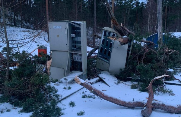 Valstybinių miškų urėdijos miškininkai įvertino stipraus vėjo žalą miškams