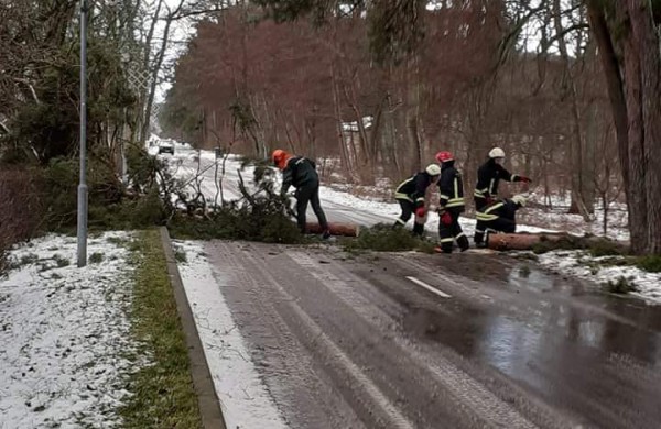 Valstybinių miškų urėdijos miškininkai įvertino stipraus vėjo žalą miškams