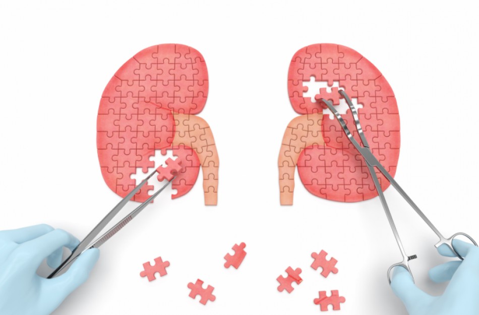 Pirmasis šiais metais gyvos donorystės atvejis
