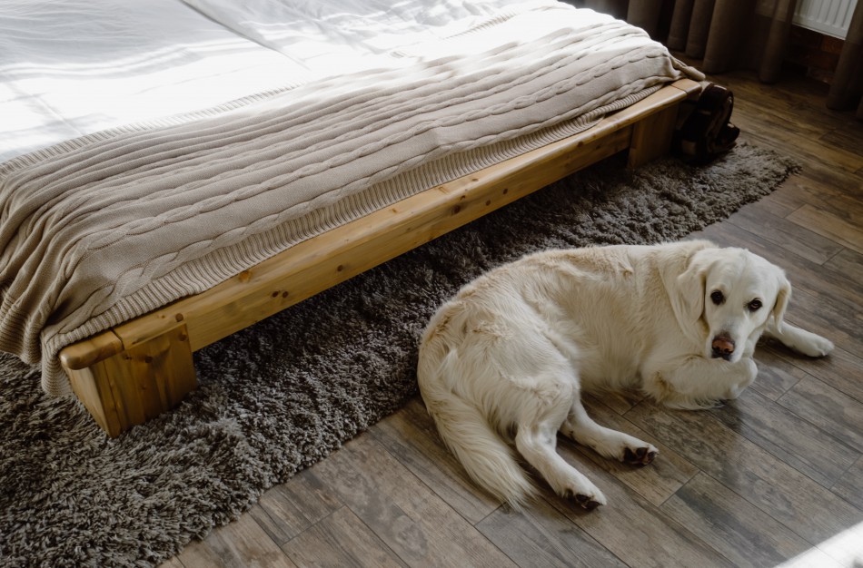 Namų remontas: 5 patarimai, kaip apsaugoti medines grindis