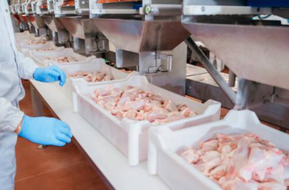 Lietuviškai paukštienai veriasi eksporto galimybės į Pietų Korėją