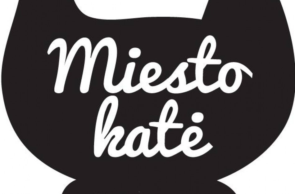 VšĮ ,,Miesto katė" prašo padėti: trūksta lėšų kačių maistui įsigyti