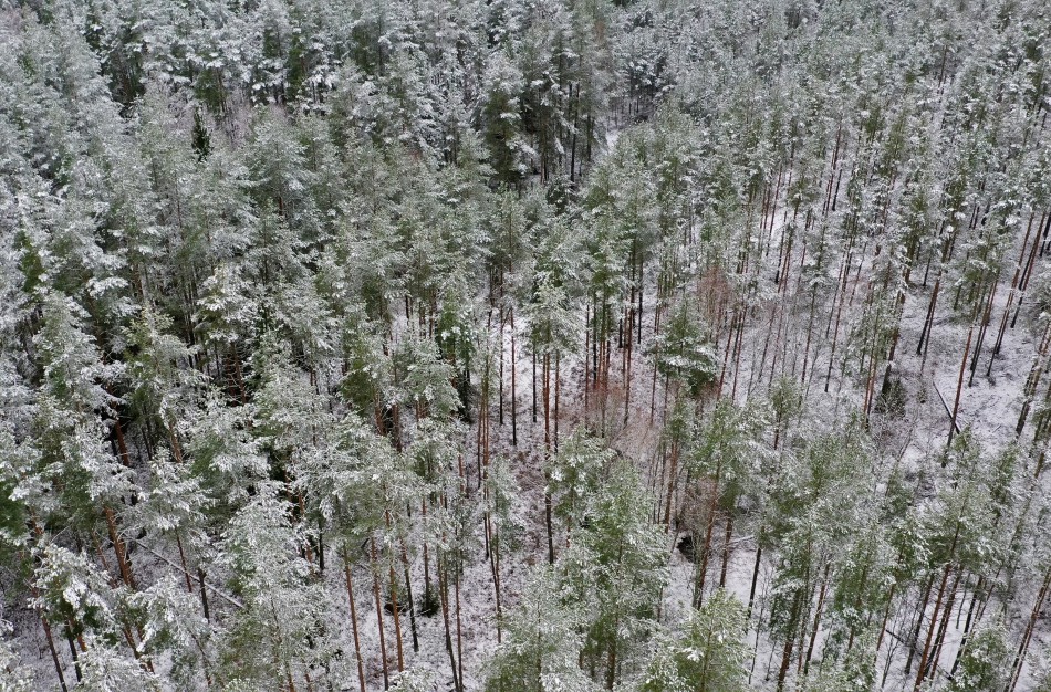 „Rail Baltica“ projektas įsibėgėja – VMU atveria teritoriją europinio geležinkelio bėgiams