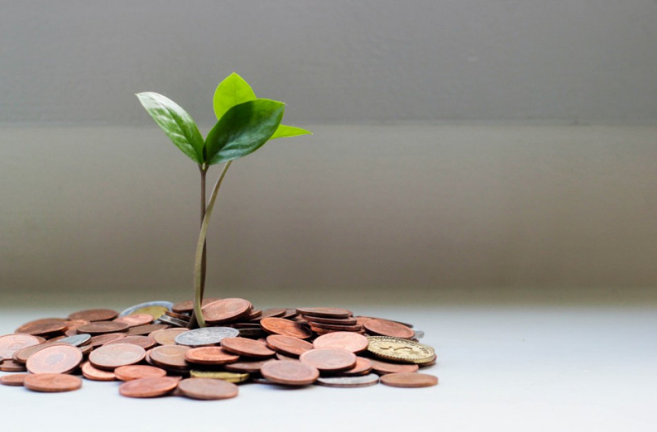 Aplinkosaugos mokesčiai: kodėl juos reikia mokėti ir kaip jie vėliau paskirstomi