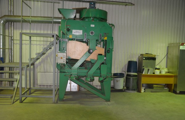 Kaip miškininkai kankorėžius paverčia medžiais