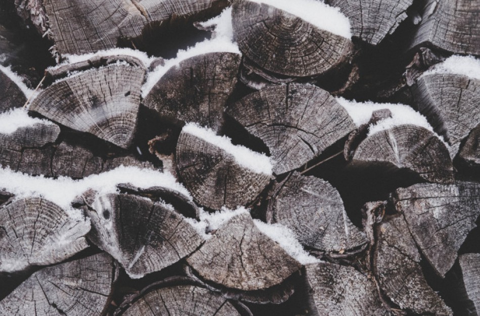 Kur kreiptis įtarus miško vagystę?