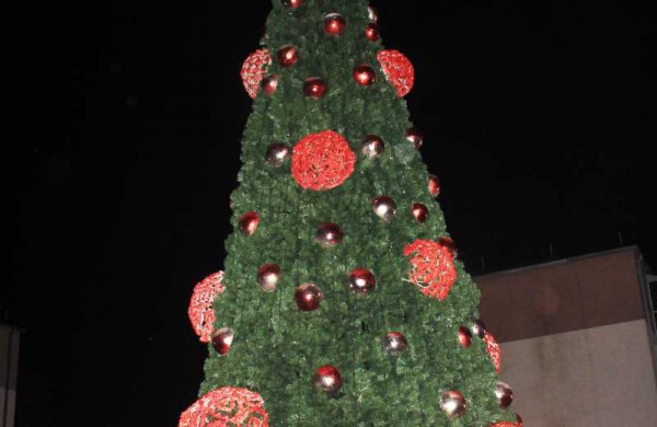 Jonaviečiai: "Pagaliau mūsų miesto eglė - graži!" 