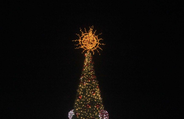 Jonaviečiai: "Pagaliau mūsų miesto eglė - graži!" 