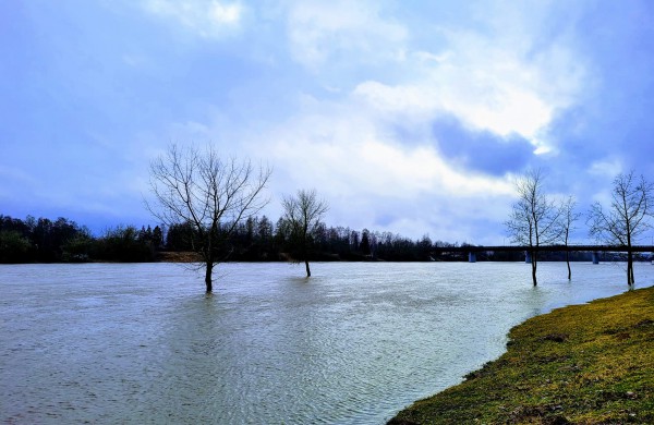 Dalis jonaviečių teigia taip paplūdusios Neries dar nematę: ar yra ko nerimauti?