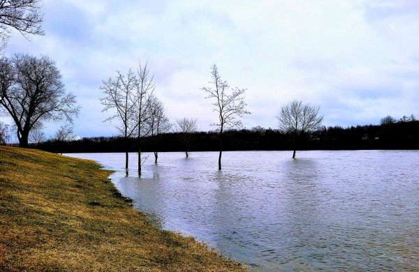 Dalis jonaviečių teigia taip paplūdusios Neries dar nematę: ar yra ko nerimauti?
