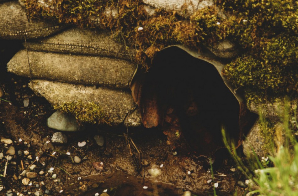 Aplinkosaugininkai primena: kad neterštumėte aplinkos, nuotekas privalu tvarkyti pagal aplinkosauginius reikalavimus