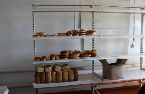 Misija Sibiras: 14 nežinomybės dienų (dienoraštis)