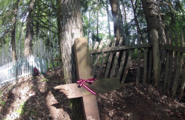 Misija Sibiras: 14 nežinomybės dienų (dienoraštis)